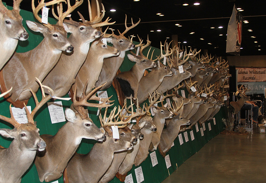 Big Buck Competition at the World Deer Expo